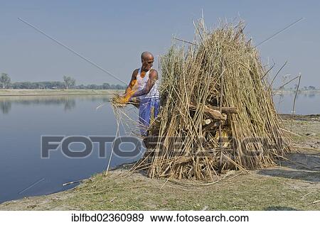 "The eldest son lighting the fire as part of a cremation ceremony, Vrindavan, India, Asia" View Large Photo Image Stock Photo - "The eldest son lighting the fire as part of a cremation ceremony, Vrindavan, India, Asia". Fotosearch
