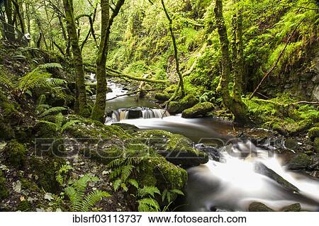 "The end of the Torc waterfall, Killarney National Park, Killarney, County Kerry, Ireland, Europe" View Large Photo Image Stock Photo - "The end of the Torc waterfall, Killarney National Park, Killarney, County Kerry, Ireland, Europe". Fotosearch