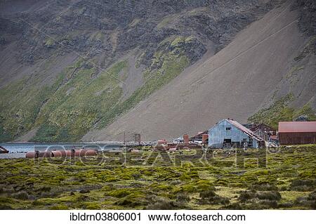 "The former Stromness whaling station, abandoned in 1965, King Edward Bay on the north-east coast of the now uninhabited island, South Georgia and the South Sandwich Islands, Antarctica" View Large Photo Image Stock Image - "The former Stromness whaling station, abandoned in 1965, King Edward Bay on the north-east coast of the now uninhabited island, South Georgia and the South Sandwich Islands, Antarctica". Fotosearch