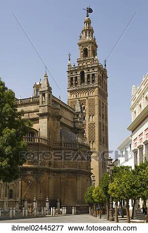 "The Giralda, La Giralda, of The Cathedral of Saint Mary of the See, Catedral de Santa Maria de la Sede, Seville Cathedral, Plaza del Triunfo, Seville, Sevilla, Andalusia, Spain, Europe" View Large Photo Image Stock Photo - "The Giralda, La Giralda, of The Cathedral of Saint Mary of the See, Catedral de Santa Maria de la Sede, Seville Cathedral, Plaza del Triunfo, Seville, Sevilla, Andalusia, Spain, Europe". Fotosearch