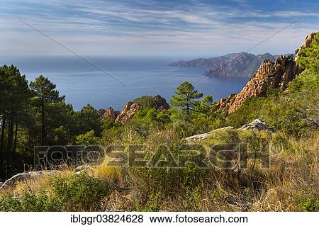 Stock Photo - "The Gulf of Porto, Calanche, Les Calanches de Piana, Corse-du-Sud, Corsica, France, Europe". Fotosearch