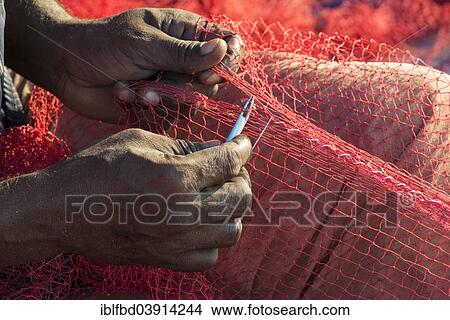 "The hands of a fisherman repairing fishing nets, Varkala, Kerala, India, Asia" View Large Photo Image Picture - "The hands of a fisherman repairing fishing nets, Varkala, Kerala, India, Asia". Fotosearch