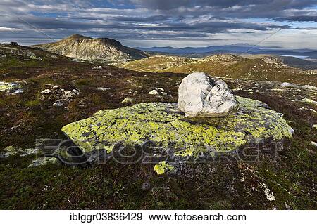 Stock Photo - "The Heddersfjell plateau near Rjukan, Tinn, Telemark, Norway, Europe". Fotosearch