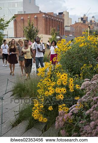 Stock Photograph - "The High Line, an abandoned elevated railroad turned into a linear urban park, New York, New York, USA". Fotosearch
