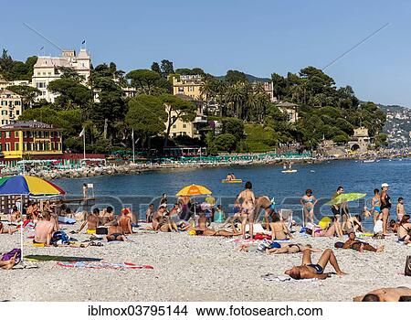 "The historic centre and beach of Santa Margherita Ligure on the Gulf of Genoa, Italian Riviera, Liguria, Italy, Europe" View Large Photo Image Picture - "The historic centre and beach of Santa Margherita Ligure on the Gulf of Genoa, Italian Riviera, Liguria, Italy, Europe". Fotosearch