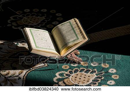 "The holy book of Islam, the Koran, Qu'ran, is open to read in a rack standing on a green carpet inside the Sidi Saiyyed Mosque, Ahmedabad, Gujarat, India, Asia" View Large Photo Image Stock Image - "The holy book of Islam, the Koran, Qu'ran, is open to read in a rack standing on a green carpet inside the Sidi Saiyyed Mosque, Ahmedabad, Gujarat, India, Asia". Fotosearch