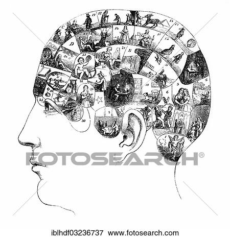 "The human brain, shown with activities in various cortical areas, people picture from the 19th Century, from the book """"The man, the mystery and wonder of his nature"""", Dr. Zimmermann, Berlin, 1864" View Large Photo Image Stock Photo - "The human brain, shown with activities in various cortical areas, people picture from the 19th Century, from the book """"The man, the mystery and wonder of his nature"""", Dr. Zimmermann, Berlin, 1864". Fotosearch