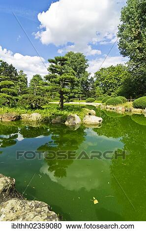 "The Japanese garden in the Nordpark garden, Duesseldorf, North Rhine-Westphalia, Germany, Europe" View Large Photo Image Stock Image - "The Japanese garden in the Nordpark garden, Duesseldorf, North Rhine-Westphalia, Germany, Europe". Fotosearch