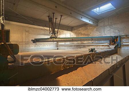 "The """"kiln"""", drying brewing grain in a malthouse, Bavaria, Germany, Europe" View Large Photo Image Stock Image - "The """"kiln"""", drying brewing grain in a malthouse, Bavaria, Germany, Europe". Fotosearch