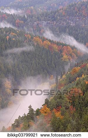 "The Kirnitzschtal in fog in autumn, Elbe Sandstone Mountains, Saxon Switzerland, Bad Schandau, Saxony, Germany, Europe" View Large Photo Image Stock Image - "The Kirnitzschtal in fog in autumn, Elbe Sandstone Mountains, Saxon Switzerland, Bad Schandau, Saxony, Germany, Europe". Fotosearch