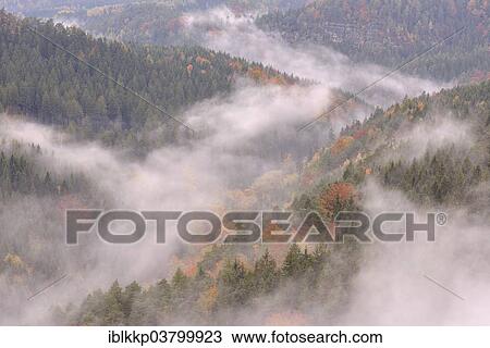 Stock Image - "The Kirnitzschtal in fog in autumn, Elbe Sandstone Mountains, Saxon Switzerland, Bad Schandau, Saxony, Germany, Europe". Fotosearch
