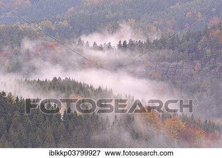 "The Kirnitzschtal in fog in autumn, Elbe Sandstone Mountains, Saxon Switzerland, Bad Schandau, Saxony, Germany, Europe" View Large Photo Image Stock Photo - "The Kirnitzschtal in fog in autumn, Elbe Sandstone Mountains, Saxon Switzerland, Bad Schandau, Saxony, Germany, Europe". Fotosearch