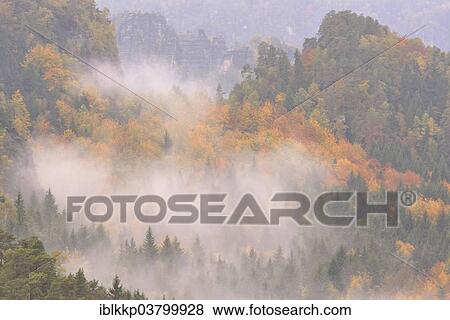 "The Kirnitzschtal in fog in autumn, Elbe Sandstone Mountains, Saxon Switzerland, Bad Schandau, Saxony, Germany, Europe" View Large Photo Image Stock Photo - "The Kirnitzschtal in fog in autumn, Elbe Sandstone Mountains, Saxon Switzerland, Bad Schandau, Saxony, Germany, Europe". Fotosearch