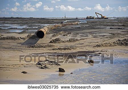 "The Lake Hermitage Marsh Creation project, aiming to restore a coastal marsh, Pointe a la Hache, Louisiana, United States, North America" View Large Photo Image Stock Photography - "The Lake Hermitage Marsh Creation project, aiming to restore a coastal marsh, Pointe a la Hache, Louisiana, United States, North America". Fotosearch