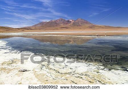 "The lake Laguna Canapa, Potosi Department, Altiplano, Andean Plateau, Andes, Bolivia, South America" View Large Photo Image Stock Image - "The lake Laguna Canapa, Potosi Department, Altiplano, Andean Plateau, Andes, Bolivia, South America". Fotosearch