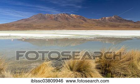 Stock Photograph - "The lake Laguna Hedionda, Potosi Department, Altiplano, Andean Plateau, Andes, Bolivia, South America". Fotosearch