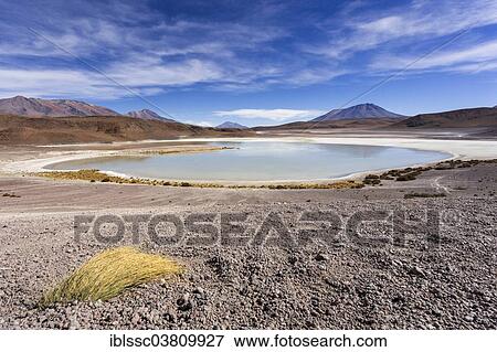 "The lake Laguna Honda, Potosi Department, Altiplano, Andean Plateau, Andes, Bolivia, South America" View Large Photo Image Stock Photo - "The lake Laguna Honda, Potosi Department, Altiplano, Andean Plateau, Andes, Bolivia, South America". Fotosearch