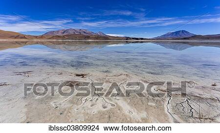 "The lake Laguna Ramaditas, Potosi Department, Altiplano, Andean Plateau, Andes, Bolivia, South America" View Large Photo Image Picture - "The lake Laguna Ramaditas, Potosi Department, Altiplano, Andean Plateau, Andes, Bolivia, South America". Fotosearch
