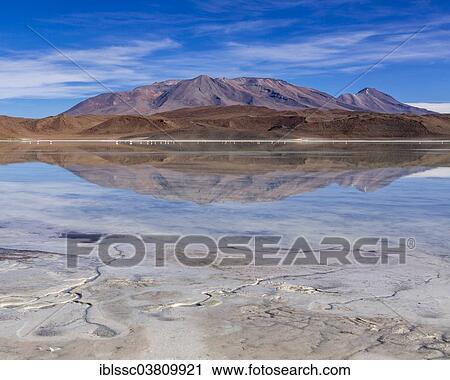 Stock Image - "The lake Laguna Ramaditas, Potosi Department, Altiplano, Andean Plateau, Andes, Bolivia, South America". Fotosearch