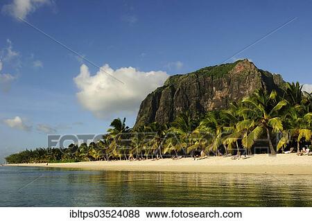 "The Le Mont Brabant mountain rising behind palm trees on the sandy beach, Le Morne Beach, La Gaulette, Mauritius, Africa" View Large Photo Image Stock Photo - "The Le Mont Brabant mountain rising behind palm trees on the sandy beach, Le Morne Beach, La Gaulette, Mauritius, Africa". Fotosearch