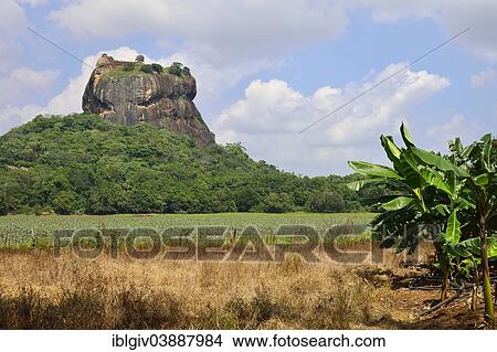 "The Lion Rock, the magma block of an eroded volcano, with the ruins of a fortress, UNESCO World Heritage Site, Sigiriya, Central Province, Sri Lanka, Asia" View Large Photo Image Picture - "The Lion Rock, the magma block of an eroded volcano, with the ruins of a fortress, UNESCO World Heritage Site, Sigiriya, Central Province, Sri Lanka, Asia". Fotosearch