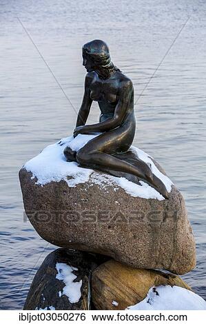 "The Little Mermaid, sculpture by Edvard Eriksen, in winter, Copenhagen, Capital Region of Denmark, Denmark, Europe" View Large Photo Image Stock Photograph - "The Little Mermaid, sculpture by Edvard Eriksen, in winter, Copenhagen, Capital Region of Denmark, Denmark, Europe". Fotosearch