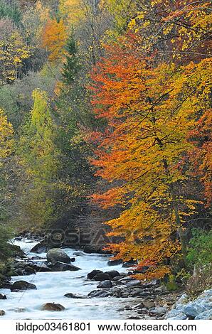 "The Melach stream in autumn, Sellraintal, Tyrol, Austria, Europe" View Large Photo Image Stock Image - "The Melach stream in autumn, Sellraintal, Tyrol, Austria, Europe". Fotosearch