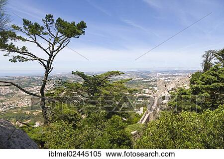 "The Moorish Castle, Castle of the Moors, Castelo dos Mouros, Sintra Cascais Natural Park, Grande Lisboa, Lisbon Region, Portugal, Europe" View Large Photo Image Stock Photography - "The Moorish Castle, Castle of the Moors, Castelo dos Mouros, Sintra Cascais Natural Park, Grande Lisboa, Lisbon Region, Portugal, Europe". Fotosearch