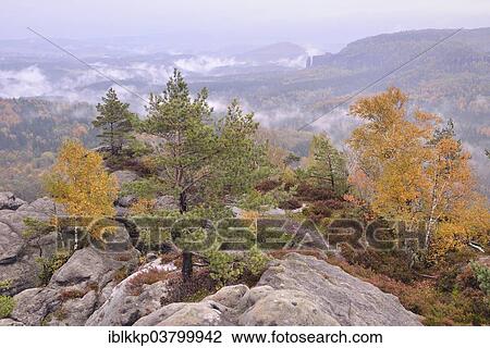Stock Image - "The Nasser Grund in fog in autumn, in the Elbe Sandstone Mountains, Saxon Switzerland, Bad Schandau, Saxony, Germany, Europe". Fotosearch