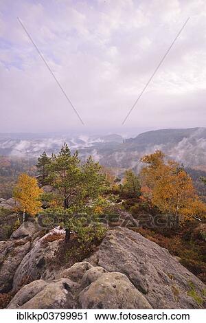 "The Nasser Grund in fog in autumn, in the Elbe Sandstone Mountains, Saxon Switzerland, Bad Schandau, Saxony, Germany, Europe" View Large Photo Image Stock Image - "The Nasser Grund in fog in autumn, in the Elbe Sandstone Mountains, Saxon Switzerland, Bad Schandau, Saxony, Germany, Europe". Fotosearch