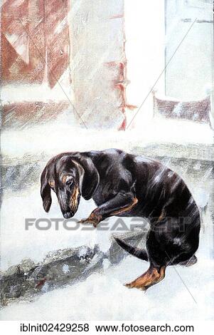 "The Prodigal Son, dachshund in the snow, Modern Art in Master Woodcuts, yearbook from 1900" View Large Photo Image Stock Photo - "The Prodigal Son, dachshund in the snow, Modern Art in Master Woodcuts, yearbook from 1900". Fotosearch