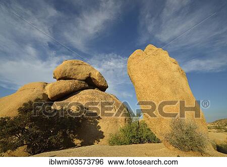 "The Rabbit, a monzogranit rock formation, Jumbo Rocks, Joshua Tree National Park, Mojave Desert, California, United States, North America" View Large Photo Image Stock Photograph - "The Rabbit, a monzogranit rock formation, Jumbo Rocks, Joshua Tree National Park, Mojave Desert, California, United States, North America". Fotosearch
