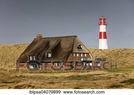 Stock Photo - "The red and white lighthouse of List Ost and a thatched house on the Ellenbogen peninsula, List, Sylt, North Frisia, Schleswig-Holstein, Germany, Europe". Fotosearch
