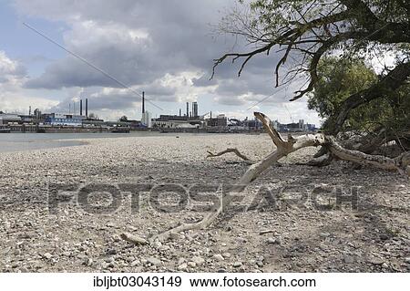 "The Rhine at low water, Chemical Park of Bayer Leverkusen at back, Leverkusen, North Rhine-Westphalia, Germany, Europe" View Large Photo Image Stock Photo - "The Rhine at low water, Chemical Park of Bayer Leverkusen at back, Leverkusen, North Rhine-Westphalia, Germany, Europe". Fotosearch