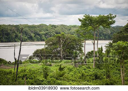 "The river Sangha, border to the Central African Republic, Libongo, East Region, Cameroon, Africa" View Large Photo Image Stock Image - "The river Sangha, border to the Central African Republic, Libongo, East Region, Cameroon, Africa". Fotosearch