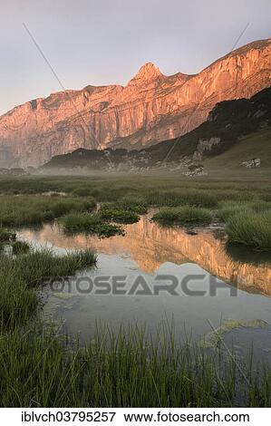 "The rocks of the Sagzahn and Sonnwendjoch reflected in a high moor, Rofan Mountains, Tyrol, Austria, Europe" View Large Photo Image Stock Photo - "The rocks of the Sagzahn and Sonnwendjoch reflected in a high moor, Rofan Mountains, Tyrol, Austria, Europe". Fotosearch