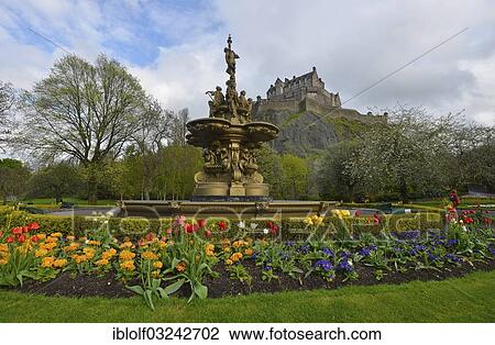 "The Ross Fountain in Princes Street Gardens, public park, Edinburgh Castle at back, Edinburgh, Scotland, United Kingdom, Europe" View Large Photo Image Stock Image - "The Ross Fountain in Princes Street Gardens, public park, Edinburgh Castle at back, Edinburgh, Scotland, United Kingdom, Europe". Fotosearch