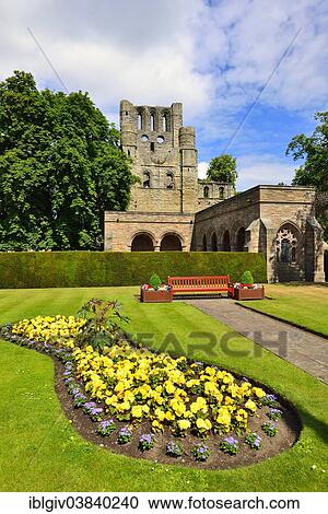 "The ruins of Kelso Abbey, 12th century, Kelso, Scottish Borders, Scotland, United Kingdom, Europe" View Large Photo Image Stock Image - "The ruins of Kelso Abbey, 12th century, Kelso, Scottish Borders, Scotland, United Kingdom, Europe". Fotosearch