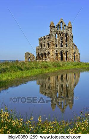 "The ruins of Whitby Abbey that inspired Bram Stoker to his masterpiece """"Dracula"""", Whitby, North Yorkshire, England, United Kingdom, Europe" View Large Photo Image Stock Photo - "The ruins of Whitby Abbey that inspired Bram Stoker to his masterpiece """"Dracula"""", Whitby, North Yorkshire, England, United Kingdom, Europe". Fotosearch