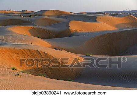 "The sand dunes of the Wahiba Sands desert, also known as Ramlat al-Wahiba or Sharqiya Sands, in evening light, Hawiyah, Ash Sharqiyah, Oman, Asia" View Large Photo Image Stock Image - "The sand dunes of the Wahiba Sands desert, also known as Ramlat al-Wahiba or Sharqiya Sands, in evening light, Hawiyah, Ash Sharqiyah, Oman, Asia". Fotosearch