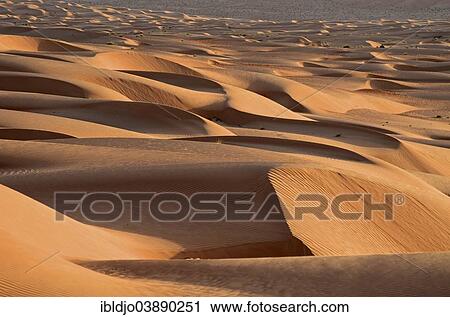 "The sand dunes of the Wahiba Sands desert, also known as Ramlat al-Wahiba or Sharqiya Sands, in evening light, Hawiyah, Ash Sharqiyah, Oman, Asia" View Large Photo Image Stock Image - "The sand dunes of the Wahiba Sands desert, also known as Ramlat al-Wahiba or Sharqiya Sands, in evening light, Hawiyah, Ash Sharqiyah, Oman, Asia". Fotosearch