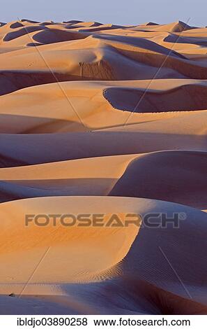 "The sand dunes of the Wahiba Sands desert, also known as Ramlat al-Wahiba or Sharqiya Sands, in morning light, Hawiyah, Ash Sharqiyah, Oman, Asia" View Large Photo Image Stock Photo - "The sand dunes of the Wahiba Sands desert, also known as Ramlat al-Wahiba or Sharqiya Sands, in morning light, Hawiyah, Ash Sharqiyah, Oman, Asia". Fotosearch