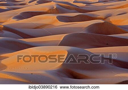 "The sand dunes of the Wahiba Sands desert, also known as Ramlat al-Wahiba or Sharqiya Sands, in morning light, Hawiyah, Ash Sharqiyah, Oman, Asia" View Large Photo Image Stock Photograph - "The sand dunes of the Wahiba Sands desert, also known as Ramlat al-Wahiba or Sharqiya Sands, in morning light, Hawiyah, Ash Sharqiyah, Oman, Asia". Fotosearch