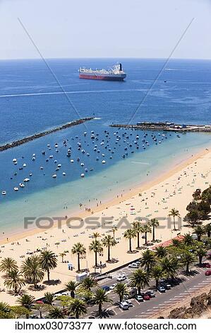Stock Photo - "The sandy beach of Playa de las Teresitas with palm trees, large container ship at back, bird's eye view, San Andres, La Montanita, Tenerife, Canary Islands, Spain, Europe". Fotosearch