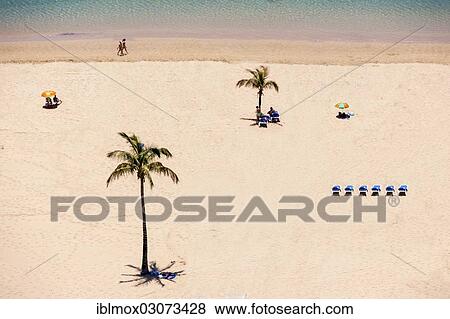 "The sandy beach of Playa de las Teresitas with palms, bird's eye view, San Andres, La Montanita, Teneriffa, Kanarische Inseln, Spain, Europe" View Large Photo Image Stock Photo - "The sandy beach of Playa de las Teresitas with palms, bird's eye view, San Andres, La Montanita, Teneriffa, Kanarische Inseln, Spain, Europe". Fotosearch