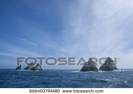 "The Shag Rocks, group of islands in the South Atlantic Ocean, South Georgia and the South Sandwich Islands, United Kingdom, Antarctica" View Large Photo Image Stock Image - "The Shag Rocks, group of islands in the South Atlantic Ocean, South Georgia and the South Sandwich Islands, United Kingdom, Antarctica". Fotosearch