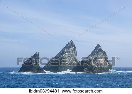 Stock Image - "The Shag Rocks, group of islands in the South Atlantic Ocean, South Georgia and the South Sandwich Islands, United Kingdom, Antarctica". Fotosearch
