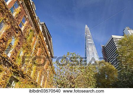 Stock Image - "The Shard as seen from the grounds of King's College campus, Southwark, London, London region, England, United Kingdom, Europe". Fotosearch