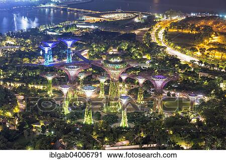 "The Supertree Grove, Gardens by the Bay at night, Singapore, Asia" View Large Photo Image Stock Image - "The Supertree Grove, Gardens by the Bay at night, Singapore, Asia". Fotosearch
