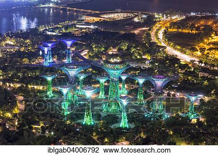 "The Supertree Grove, Gardens by the Bay at night, Singapore, Asia" View Large Photo Image Stock Image - "The Supertree Grove, Gardens by the Bay at night, Singapore, Asia". Fotosearch